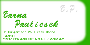 barna paulicsek business card